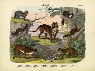 Zoogdieren, ca. 1860